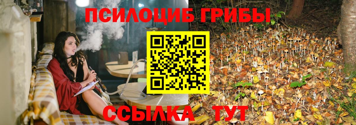 Галлюциногенные грибы Psilocybine cubensis  Вход с VPN  Лысьва 