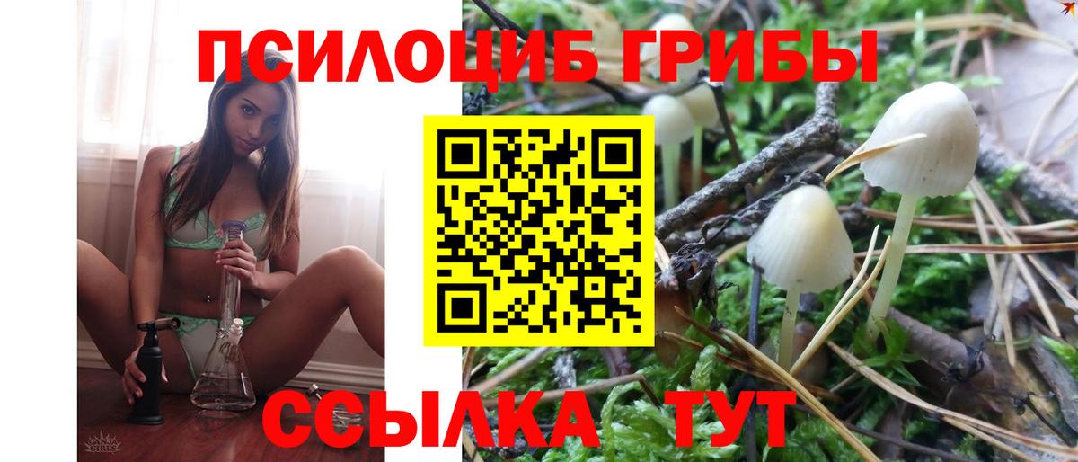 Псилоцибиновые грибы прущие грибы Лысьва